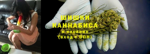 дмт Костерёво