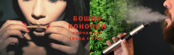 дмт Костерёво
