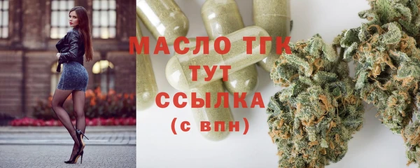 дмт Костерёво