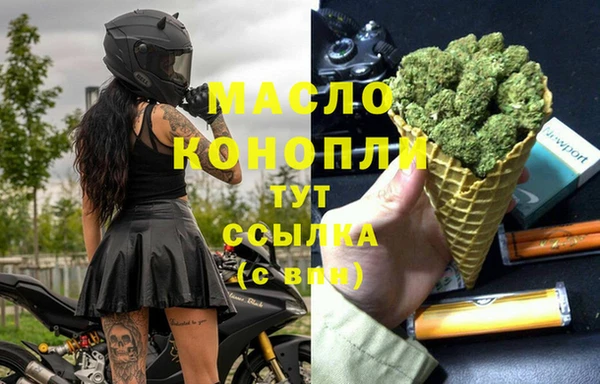 дмт Костерёво