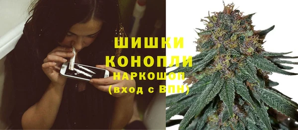прущая мука Корсаков