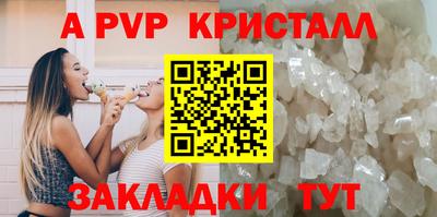 шишки Заволжье