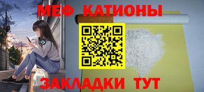 шишки Заволжье