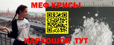 шишки Заволжье
