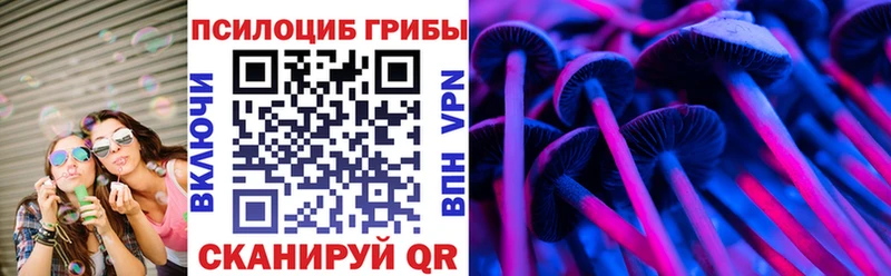 где купить наркоту  сайты даркнета состав  Псилоцибиновые грибы GOLDEN TEACHER  Новочеркасск 