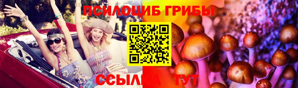 Галлюциногенные грибы Magic Shrooms  купить закладку  Новочеркасск  Вход с VPN 
