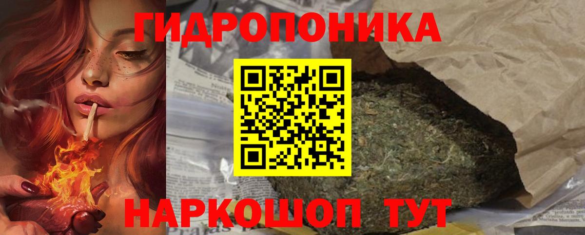 Новочеркасск  Шишки марихуана тримм  МАРИХУАНА планчик  Вход с VPN  Марихуана марихуана  Марихуана White Widow 